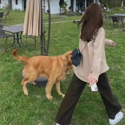 惊恐
